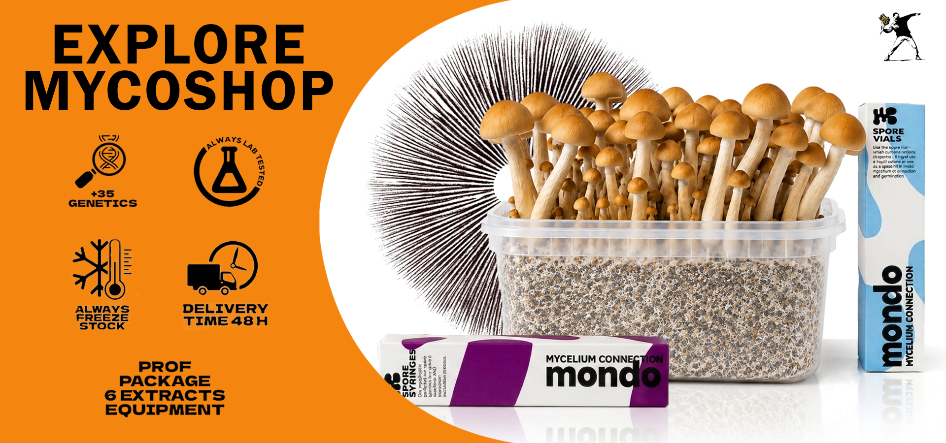 Spore ed attrezzatura funghi magici