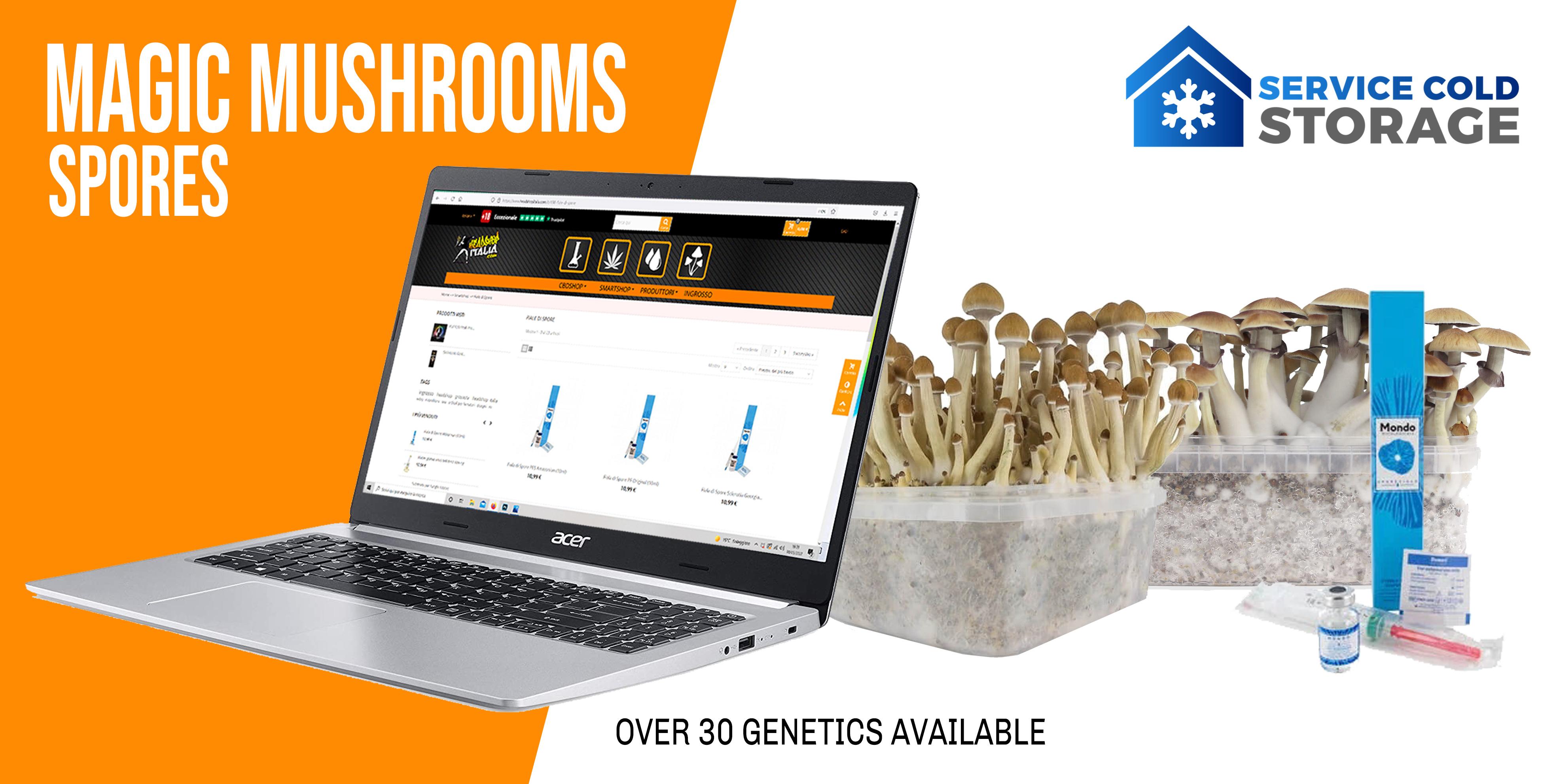 Magic mushrooms spores on Headshop Italia